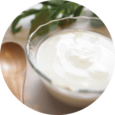 オーガニックビューティー乳酸菌イメージ